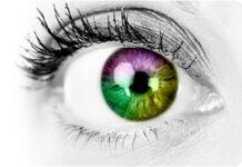 Rosarno: alunni ipovedenti figli di un dio minore? Un genitore denuncia l’abbandono da parte del comune