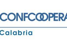 Confcooperative Calabria propone documento programmatico per il Governo Regionale