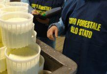 Sequestrati quattro quintali di alimenti e bevande in provincia di Reggio Calabria