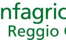 Confagricoltura Reggio Calabria: crisi agrumi, arance e clementine in ginocchio