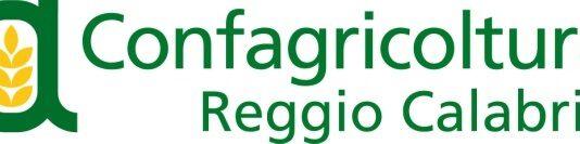 Confagricoltura Reggio Calabria: crisi agrumi, arance e clementine in ginocchio