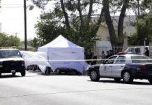 Neonata rapita e gettata morta tra i rifiuti