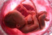 Agghiacciante in Calabria, donna uccide il proprio feto per frodare assicurazione