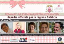 Dalla Calabria una torta da guinnes per ottenere il riconoscimento del cake designer come figura professionale