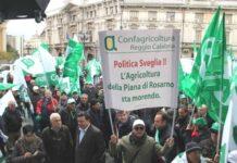 Protesta agricoltori: “Non vogliamo morire di IMU”. Confagricoltura Reggio Calabria sostiene e condivide iniziativa
