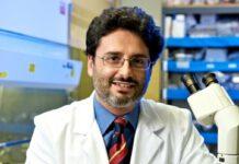 Ricerca e innovazione: il Calabrese Antonello Pileggi eletto presidente della Miami Scientific Italian community