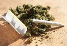 Deputati calabresi Bruno Bossio e Stumpo aderiscono intergruppo depenalizzazione e legalizzazione cannabis