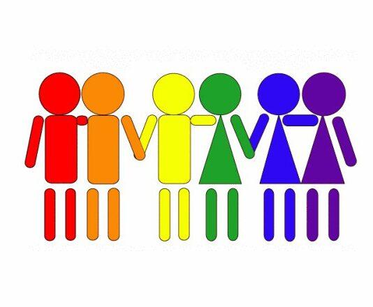 Palmi, Il Consiglio Comunale boccia l’istituzione del registro delle Unioni Civili