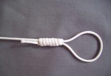 Orrore nel vibonese, cucciolo impiccato davanti casa di un avvocato