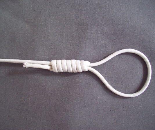 Orrore nel vibonese, cucciolo impiccato davanti casa di un avvocato