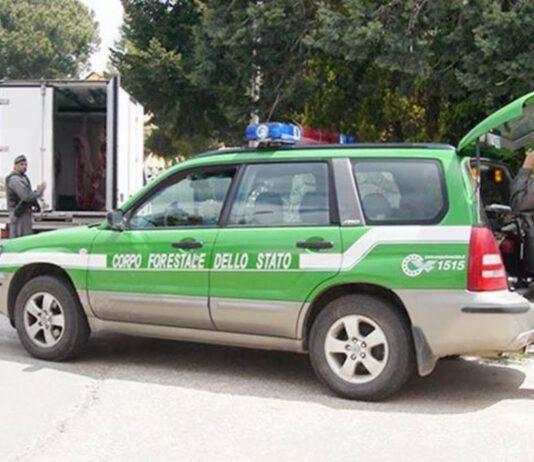 Graziano (Cdl): La Giunta regionale chieda al Premier Renzi di scongiurare l’assorbimento del Corpo forestale dello Stato in altre forze di polizia