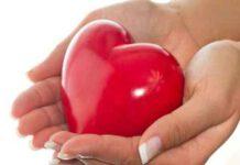 Diciassettenne muore in un incidente nel vibonese, la famiglia dispone la donazione degli organi