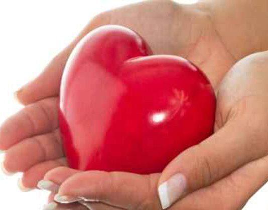 Diciassettenne muore in un incidente nel vibonese, la famiglia dispone la donazione degli organi