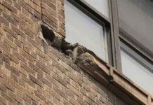 Si stacca un mattone dal muro, muore bimba di 2anni colpita in pieno