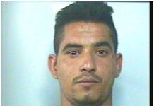 Rosarno, nascondeva droga in casa. Arrestato bulgaro