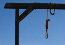 Macabra scoperta a Rosarno, trovati due cani impiccati. Denunciato cinquantenne