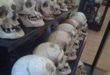 Greco e Sergio incontrano presidente del Comitato “No Lombroso”