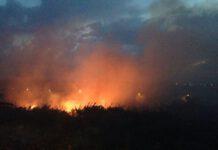 Gioia Tauro, grosso incendio divampa a causa del forte vento