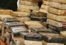 Droga dall’Africa al Porto di Gioia Tauro, 15 arresti