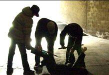 20enne disabile sequestrata e stuprata da 3 africani