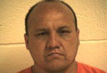 Molesta un cavallo per la terza volta, fermato 45enne