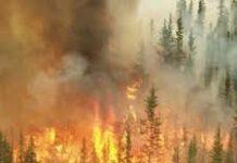 Morte atroce in Calabria, uomo trovato carbonizzato