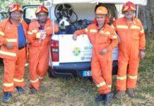 Antincendio Boschivo, Calabria Verde batte a tappeto il territorio