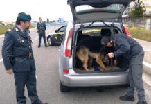 Trasportavano in auto su A3 cinque kg di droga, arrestati tre vibonesi