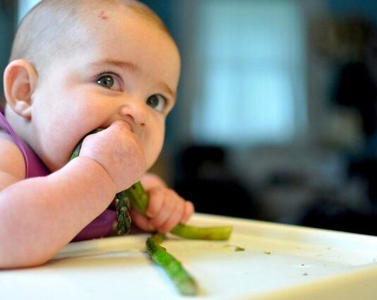 Bimbo di un anno arriva in ospedale malnutrito, genitori vegani indagati per maltrattamenti