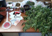 Operazione Marijuana Homemade, arrestati due conviventi a Reggio Calabria