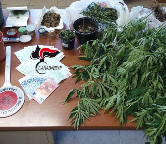 Operazione Marijuana Homemade, arrestati due conviventi a Reggio Calabria