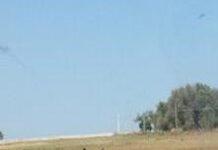 Cavallo in autostrada tra Rosarno e Gioia Tauro