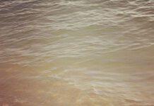 Nicotera e non solo, il mare della Calabria sta diventando una fogna?