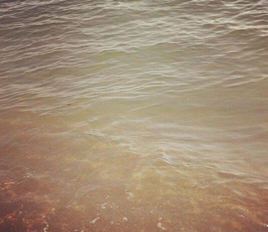 Nicotera e non solo, il mare della Calabria sta diventando una fogna?