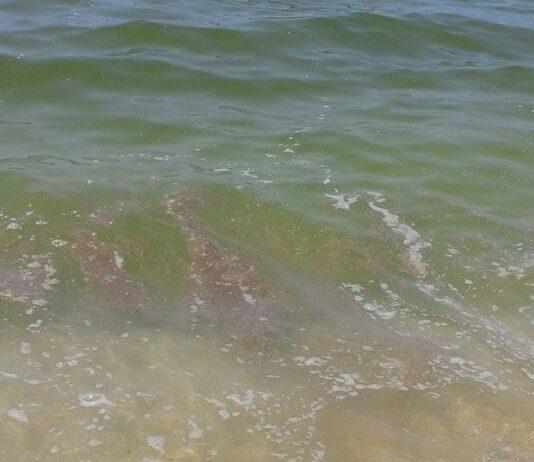 Tra Nicotera Marina e il Porto di Gioia Tauro a rischio lo stagione balneare