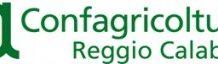 Confagricoltura: Estate Reggina ed Expo, l’agroalimentare vuole la sua vetrina