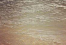 Mare inquinato a Nicotera, U.Di.Con.: celere intervento della Capitaneria di Porto alla nostra segnalazione di inquinamento