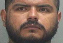 Pugnala la fidanzata con forchette, la cosparge di salsa e prova a metterla nel forno per ucciderla