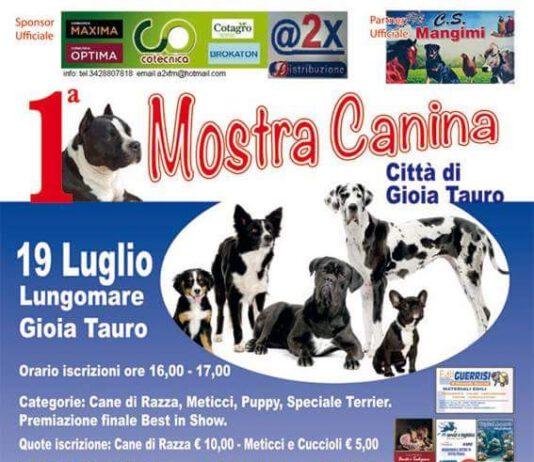 A Gioia Tauro la prima mostra canina