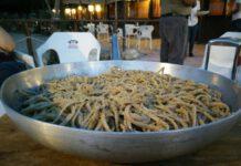 Gioia Tauro, giovedì 30 luglio la prima edizione della sagra della struncatura