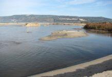 Fiume Mesima, intervento straordinario alla foce