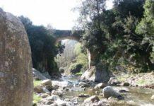 Tragedia in Calabria 23enne si suicida lanciandosi da un ponte