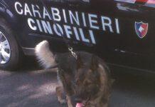 Perquisizioni a Palmi, rinvenute armi e droga