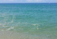 Mare Nicotera: perché non viene applicato divieto di balneazione?
