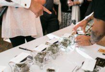 Buffet nuziale a base di marijuana per due sposi, invitati soddisfatti