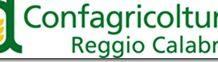 Confagricoltura, Consorzio di Bonifica Alto Ionio Reggino: Fermate il Presidente Costa