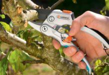 Taglia il pene all’amante della moglie e lo getta in un wc