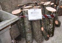 Furto di legna, padre e figlio colti in flagrante nel cosentino