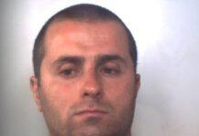 Scoperta piantagione di canapa, un arresto