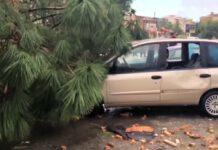 Maltempo, tromba d’aria si abbatte su Falerna